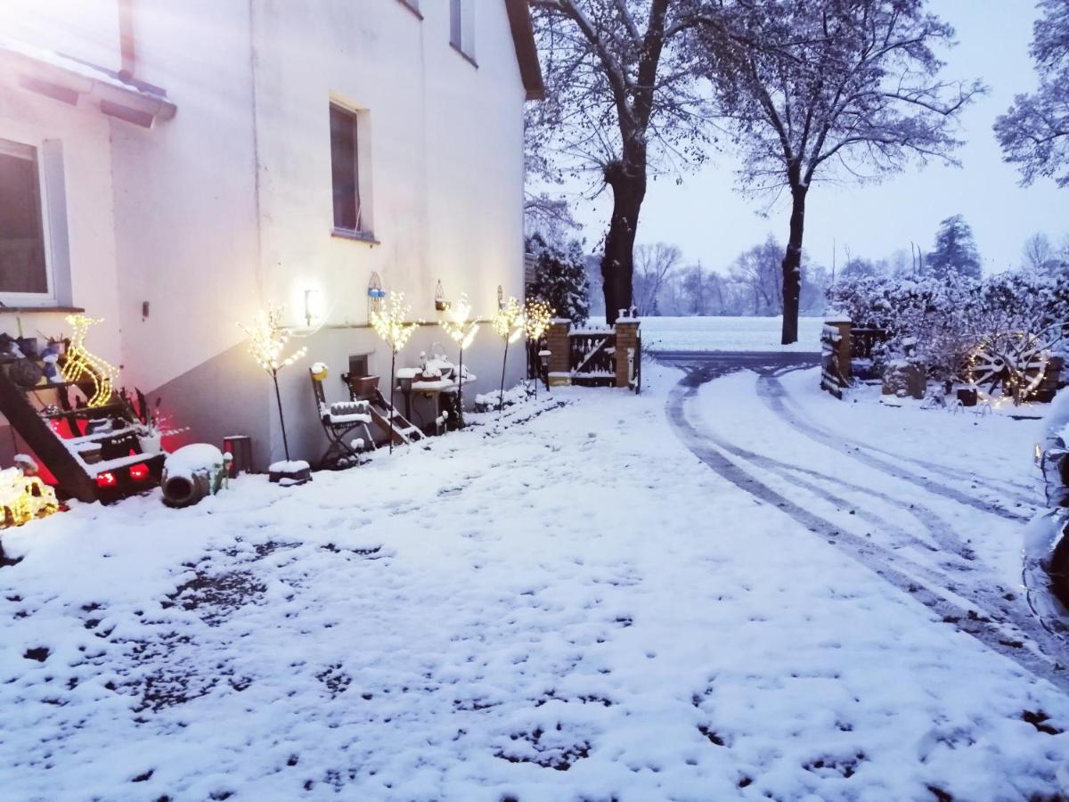 Ferienwohnung Monteurzimmer Plessa Exteriör bild